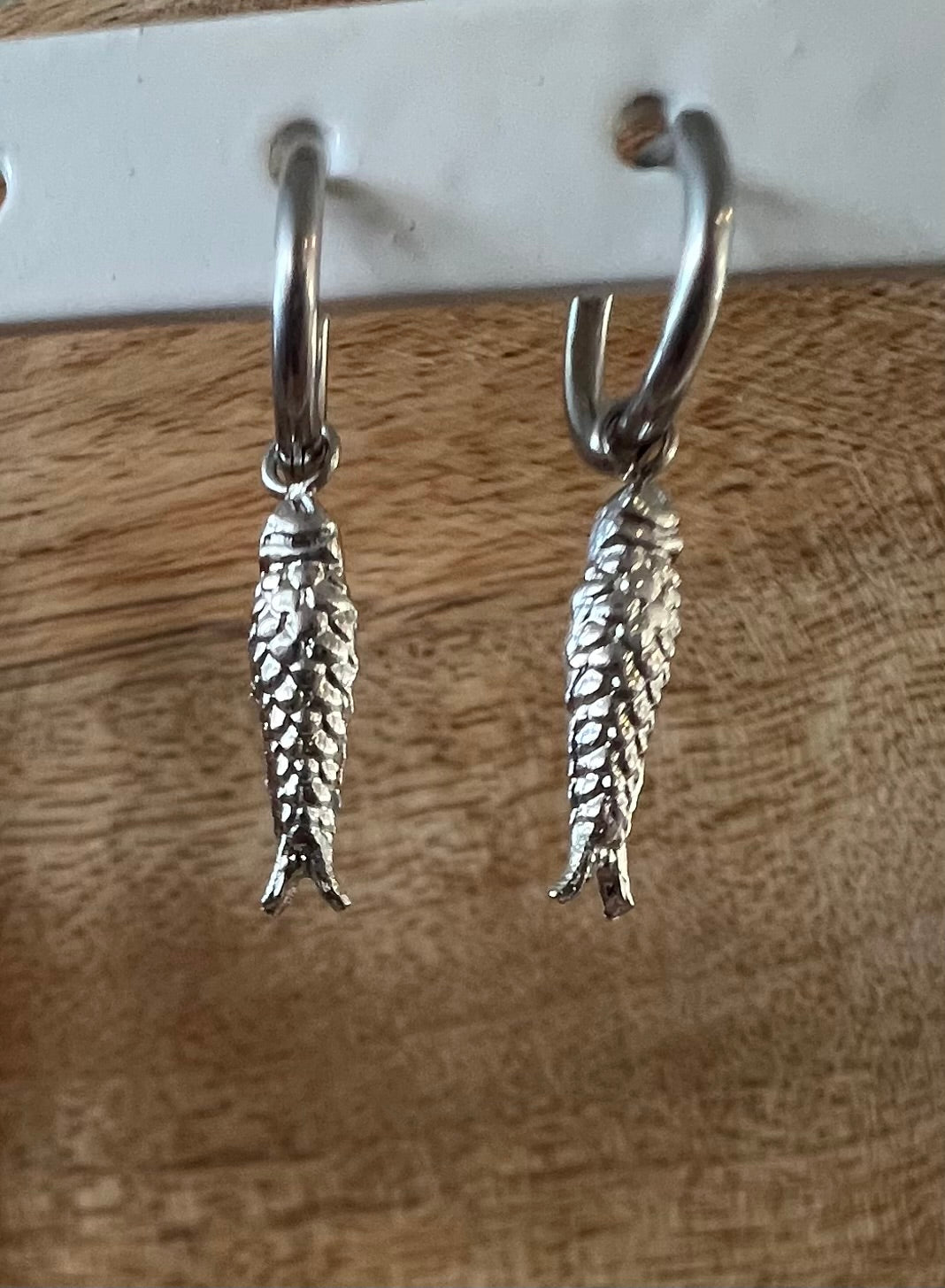 Visjes oorbellen zilver